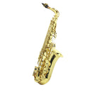 Alysée A-808L SAX ALTO laccato tonalità Mib prodotto per studenti e principianti