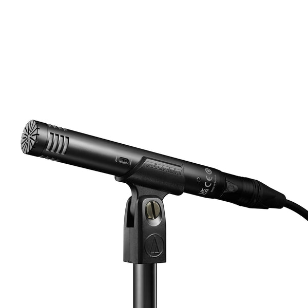 Audio-Technica AT2031 Microfono Pro a condensatore da studio x strumenti a corda