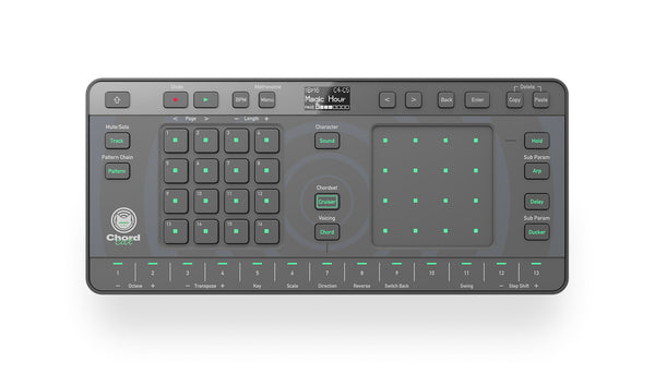 AlphaTheta CHORDCAT Groovebox portat. Accordi Arpeggiatore Efx x comporre Musica
