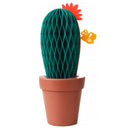 » Papirho HUMIDCACTUSGR Diffusore d'ambiente in carta a forma di cactus verde (100% off)