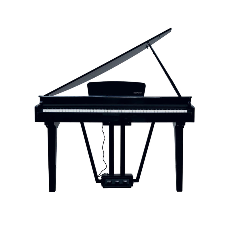 Echord GP10B BLACK Pianoforte Digitale a codino 88T Pesati HAG + Suoni+EFX, Nero