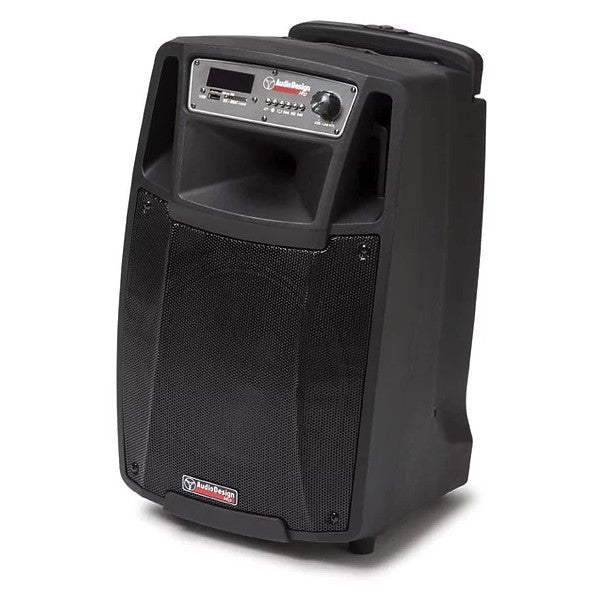 Audiodesign M2 10W/L Trolley Batteria Diffusore Attivo+2Mic Palm. Wireless 300w