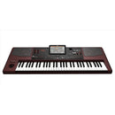 Korg PA1000 Tastiera Digitale Professionale 61T tecnologia Defined Nuance Cont.