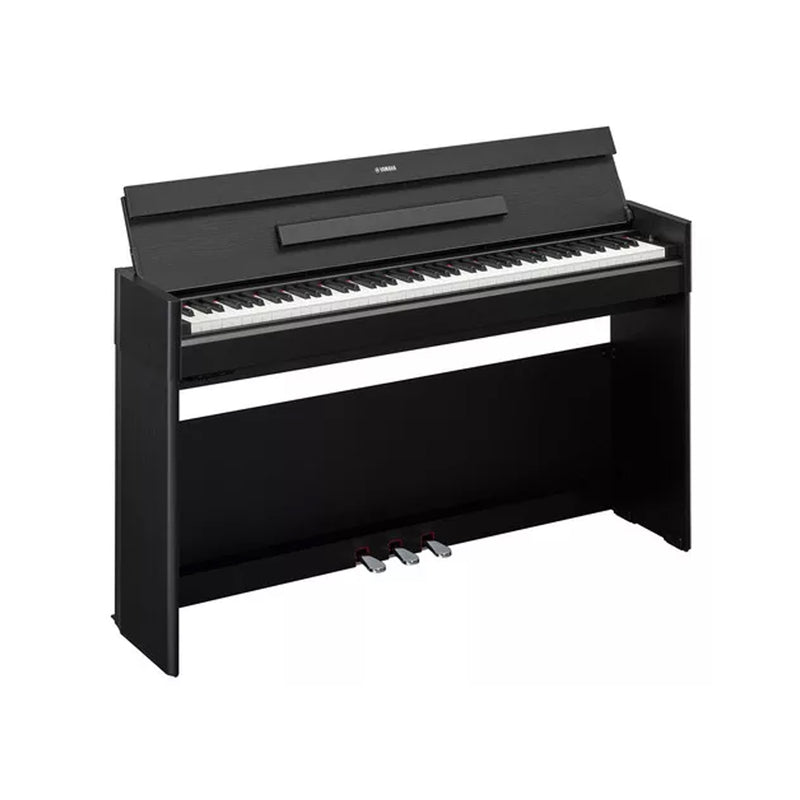 Yamaha YDP-S55B Pianoforte Digitale 88 Tasti Pesati Nero + B-1B Panchetta, Nero