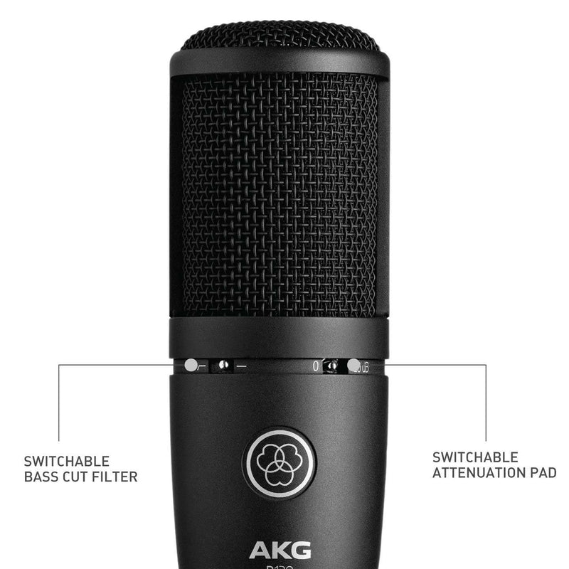 AKG P120 Microfono Pro Condensatore Cardioide Cablato x voce e strumenti