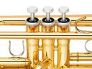 Yamaha YTR-4335GII Tromba Laccata Oro in Sib con campana in Gold Brass 2 pezzi
