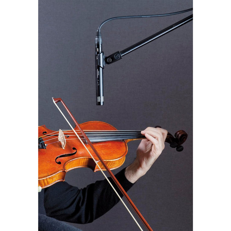 Audio-Technica AT2031 Microfono Pro a condensatore da studio x strumenti a corda