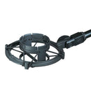 Audio-Technica AT4040 Microfono Pro da Studio condensatore diaframma largo, Nero