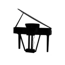 Echord GP10B BLACK Pianoforte Digitale a codino 88T Pesati HAG + Suoni+EFX, Nero