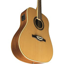 Eko ONE D150E NATURAL Chitarra acustica elettrificata Dreadnought 20T con FPII