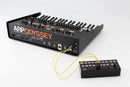 Korg SQ-1 Step Sequencer compatto 2X8 Steps connessioni sintetizzatori porte CV