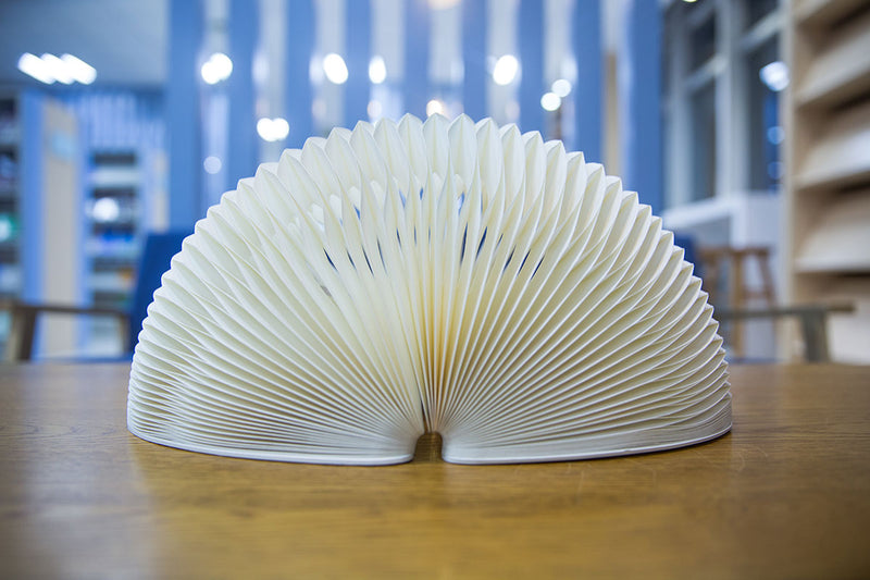 Papirho LAMPD36WTHC Lampada Led Bianca D36 in carta a nido d'ape + telecomando