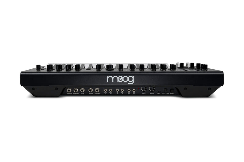 Moog MESSENGER Sintetizzatore professionale analogico monofonico a 32 tasti