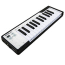 Arturia MICROLAB BLACK Tastiera controller MIDI a 25 tasti mini, Nero