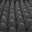 UDG U93028BL UDG Ultimate Pick Foam Flight Case AlphaTheta XDJ-AZ Black