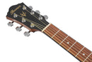 Ibanez VC50NJP-OPN Jam Pack Quick Start Chitarra Acustica Natural + accessori - GlobalNet Shop