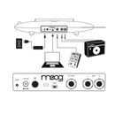 Moog THEREMINI Sintetizzatore Elett. suona ogni nota come singola scala musicale - GlobalNet Shop