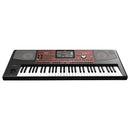 Korg PA700 Tastiera Digitale Dinamica Professionale 61 Tasti e CPU interna
