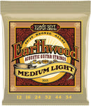 Ernie Ball 2003 Corde per Chitarra Acustica Earthwood Medium Light 80/20 Bronze