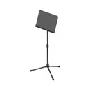 Proel DHMSS30 Leggio professionale piastra regolabile in metallo, Nero Opaco - GlobalNet Shop