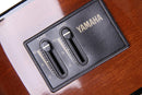 Yamaha CX40II Chitarra Classica elettrificata 4/4 6 Corde con pickup, Naturale